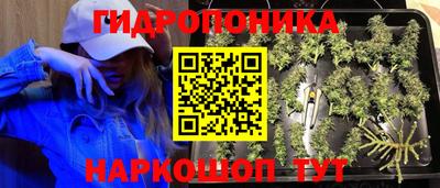 стафф Заволжье