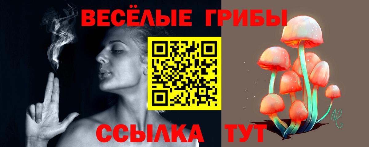 Галлюциногенные грибы Cubensis  Вход с VPN  Арсеньев  Галлюциногенные грибы Magic Shrooms 